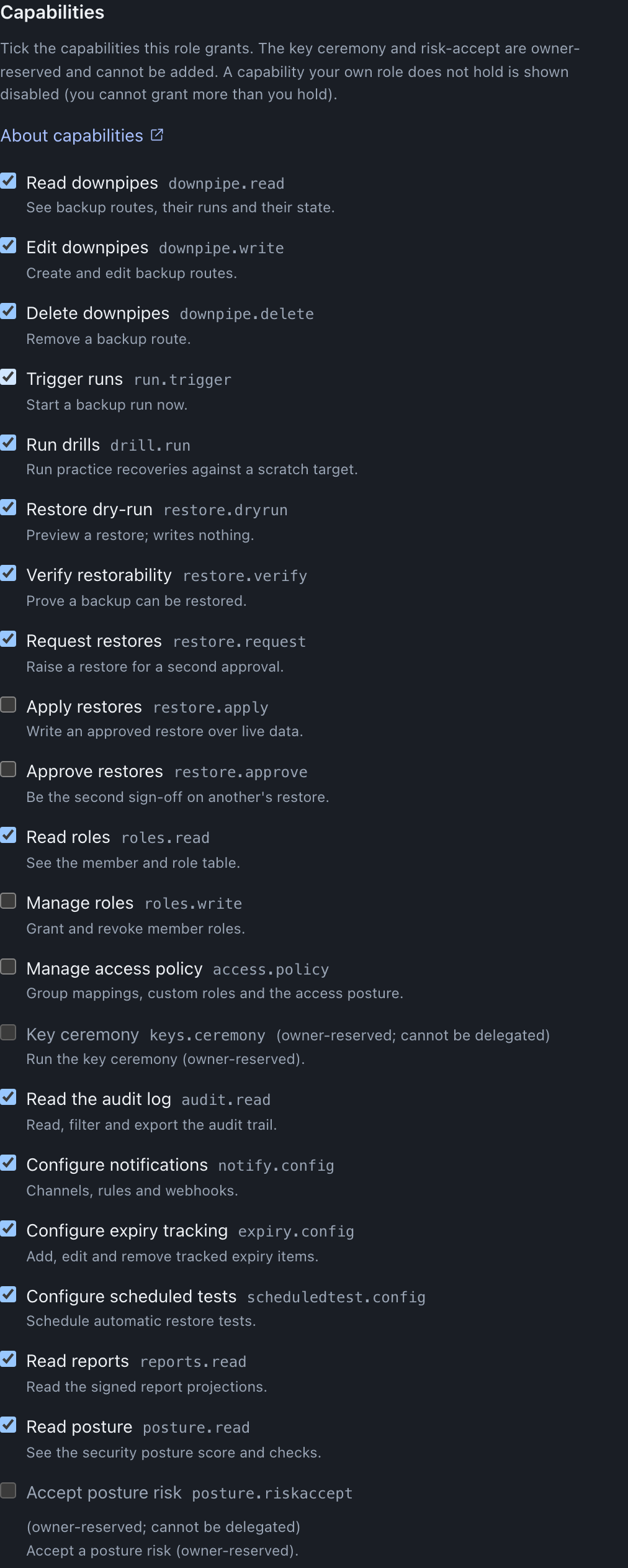 The Capabilities matrix: a tickable list of capabilities, each with its code, such as Read downpipes (downpipe.read) and Configure notifications (notify.config); Apply restores, Approve restores, Manage roles and Manage access policy are left unticked, and the owner-reserved Key ceremony (keys.ceremony) and Accept posture risk (posture.riskaccept) are shown disabled.